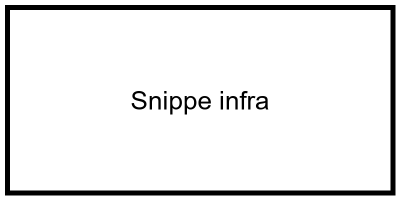 Snippe_infra